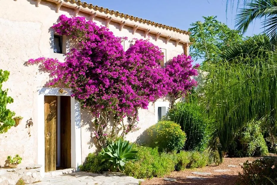 Villa Casa Francisca Son Macia
